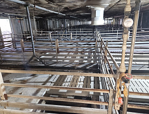 Rekonstrukce haly chovu prasat